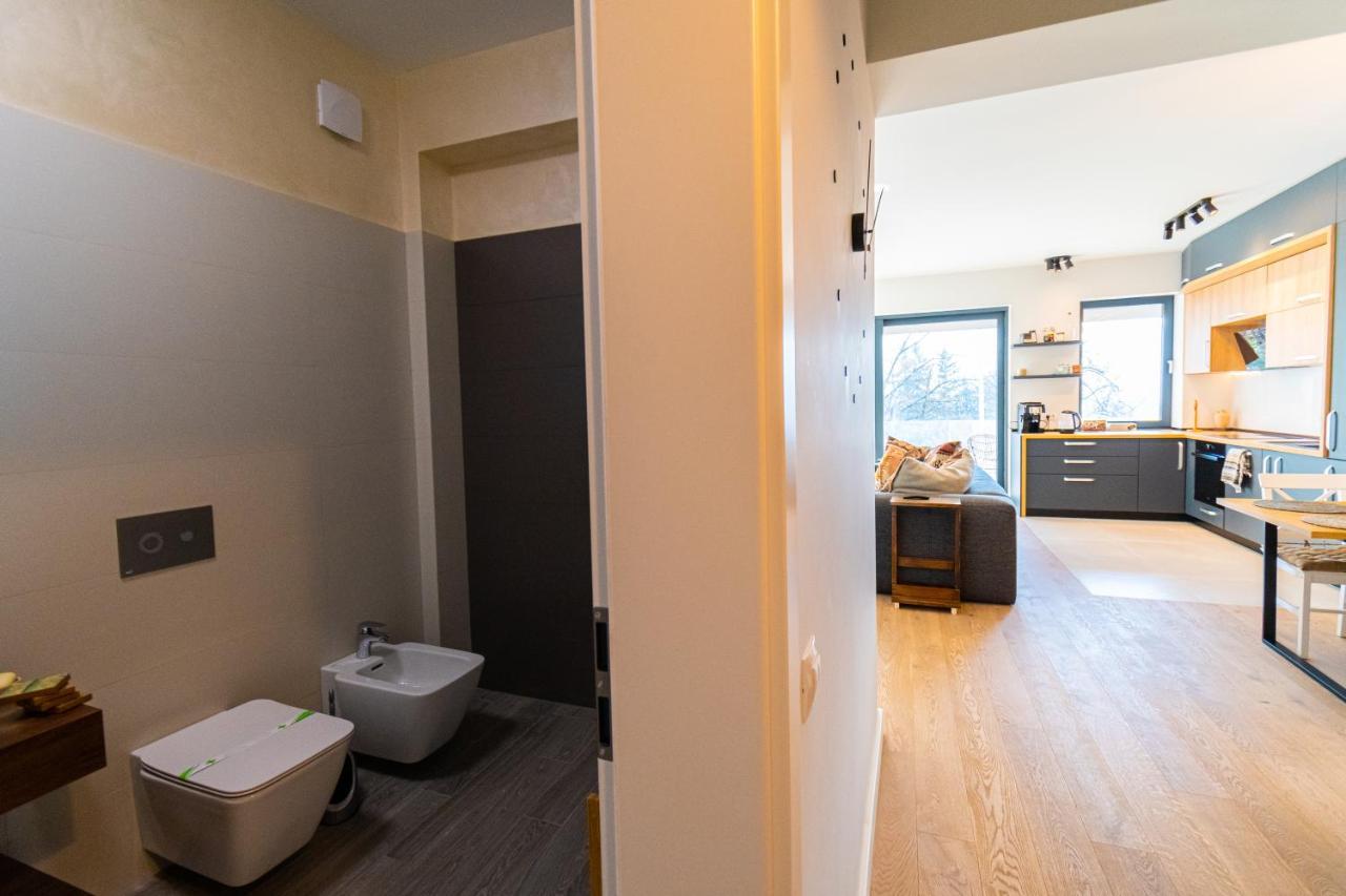 Mirador Bohemian Apt With Views Over Old Town And Tampa Mountain, Near Poiana บราชอฟ ภายนอก รูปภาพ